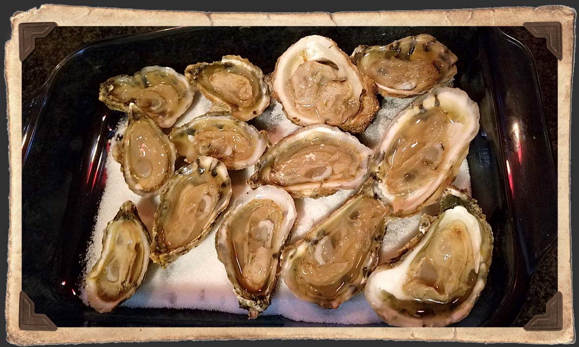Shucked Oysters