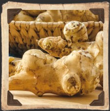 Jerusalem Artichoke