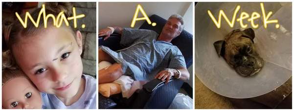 FB_IMG_1551586094716